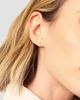 Oradina Women's 14K Yellow Gold Freedom Dove Studs - 4