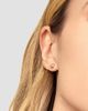 Oradina Women's 14K Yellow Gold Prism Studs - 4