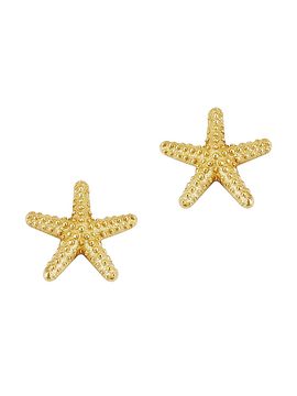 Oradina Women's 14K Yellow Gold Starfish Studs