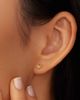 Oradina Women's Fly High Studs in 14K Yellow Gold - 2
