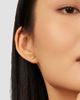 Oradina Women's Fly High Studs in 14K Yellow Gold - 3