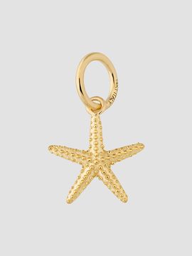 Oradina Women's Starfish Pendant Charm in 14K Yellow Gold