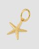 Oradina Women's Starfish Pendant Charm in 14K Yellow Gold - 3