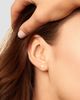 Oradina Women's Sunny Day Studs in 14K Yellow Gold - 3