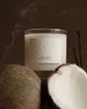 Orchid + Ash Orchid + Ash Moonstruck Natural Candle - Honey + Vanilla - 3