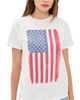 Original Retro Brand Original Retro Brand USA Vertical Flag Relaxed Tee AWH - 1