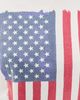 Original Retro Brand Original Retro Brand USA Vertical Flag Relaxed Tee AWH - 6