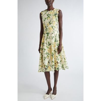 Oscar de la Renta Oscar de la Renta English Rose Guipure Lace Fit & Flare Dress
