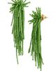 Oscar de la Renta Oscar de la Renta Firework Beaded Tassel Earrings - 1
