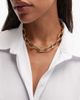 & Other Stories & Other Stories chunky chain necklace in gold - 1
