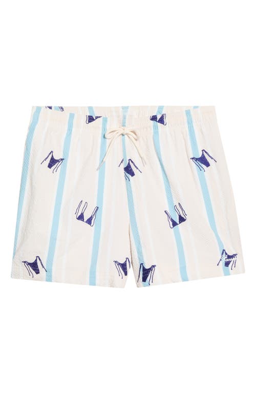 PacSun PacSun Bikini Embroidered Stripe Swim Trunks