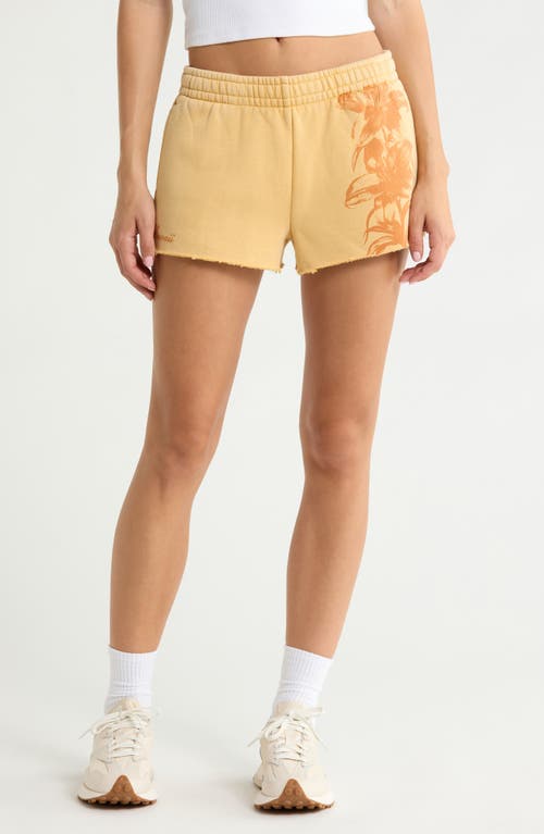 PacSun PacSun Hawaii Floral Mini Shorts