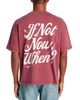 Pacsun Pacsun If Not Now When Cotton Crewneck T-Shirt - 3