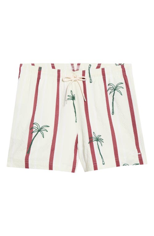 PacSun PacSun Palm Embroidered Stripe Swim Trunks