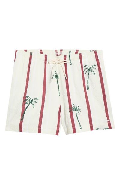 PacSun PacSun Palm Embroidered Stripe Swim Trunks