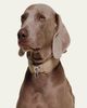 PAGERIE The Dorro Dog Collar - 3