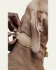 PAGERIE The Dorro Dog Collar - 4