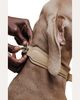 PAGERIE The Dorro Dog Collar - 8
