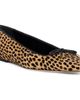 PAIGE PAIGE Wiley Pointed Toe Genuine Calf Hair Flat - 1