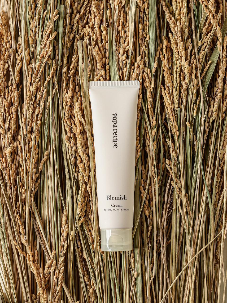 paparecipe Fermented Moisturizing Blemish Cream