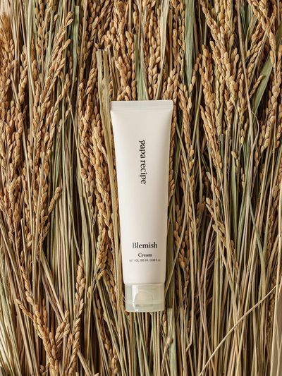 paparecipe Fermented Moisturizing Blemish Cream