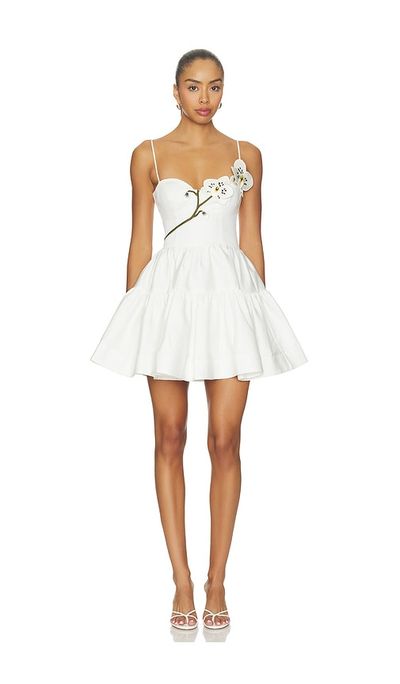 PatBO PatBO Blossom Poplin Orchid Mini Dress