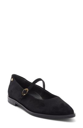Paul Green Paul Green Carla Mary Jane Flat
