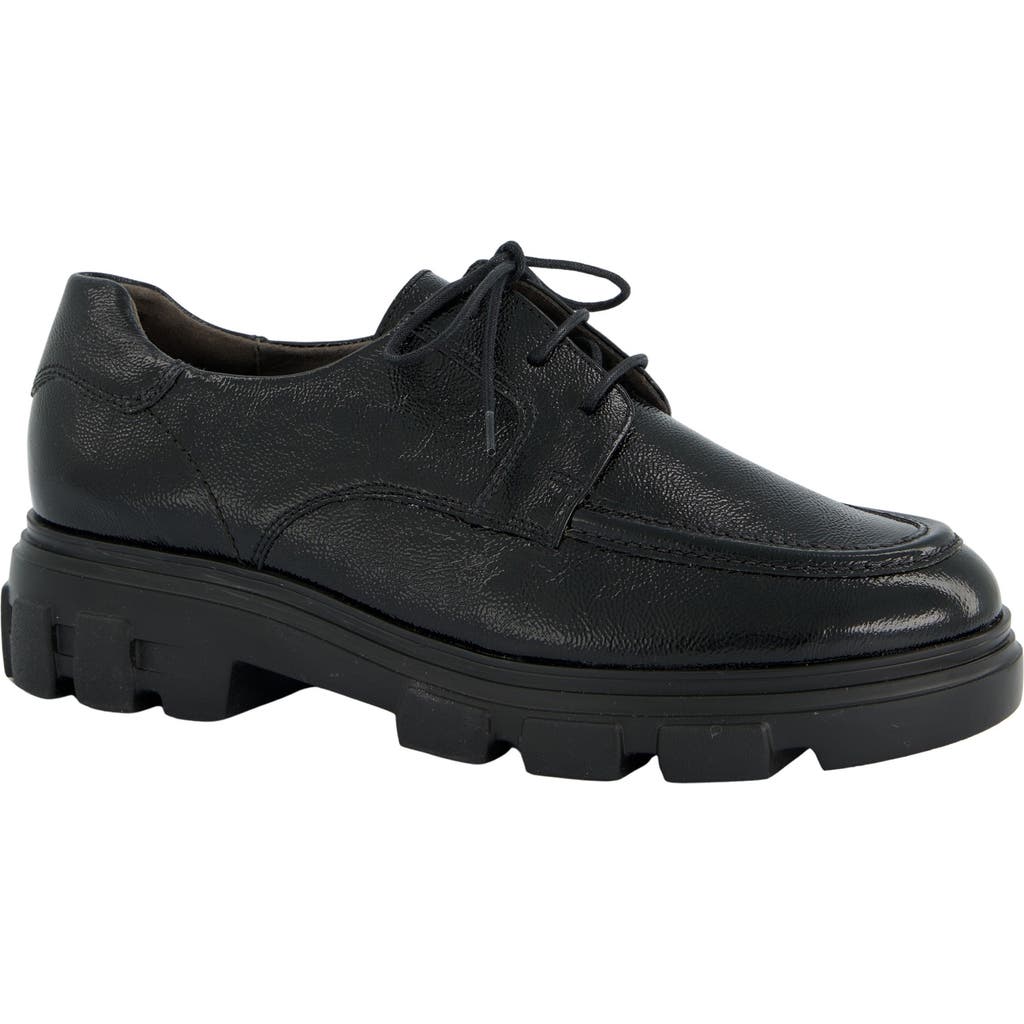 Paul Green Paul Green Char Oxford