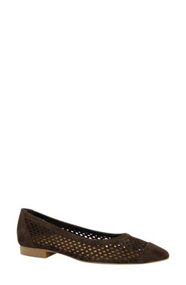 Paul Green Paul Green Deanna Pointed Cap Toe Flat