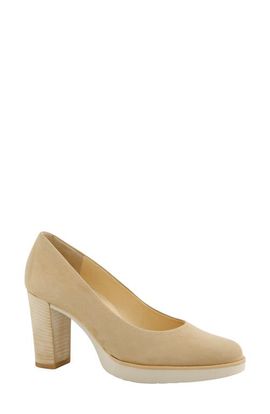 Paul Green Paul Green Finley Pump