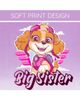 PAW PATROL PAW PATROL Skye Short Sleeve T-Shirt - 3