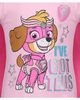 PAW PATROL PAW PATROL Skye T-Shirt and Tutu Skirt with Cape and Mask Set - 5