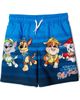 PAW PATROL PAW PATROL Swimwear 2-Piece Rash Guard and Trunks Set - 3