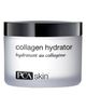 PCA Skin PCA Skin Collagen Hydrator Facial Cream  - 1