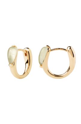 PDPAOLA PDPAOLA Isla Hoops