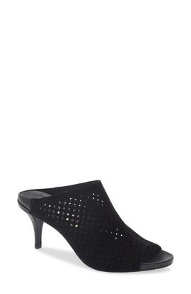 Pedro Garcia Pedro Garcia Waldina Stiletto Mule