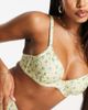 Peek & Beau Peek & Beau Fuller Bust underwired bikini top in lemon floral-Yellow - 1