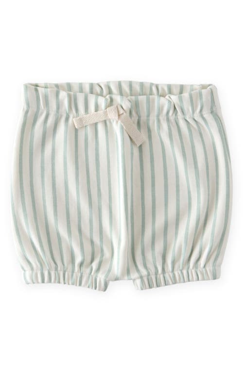 Pehr Pehr Stripes Away Bubble Shorts