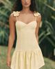 Peixoto Audrey Mini Dress - 1