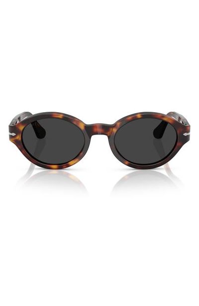 Persol Persol Loris 51mm Polarized Oval Sunglasses