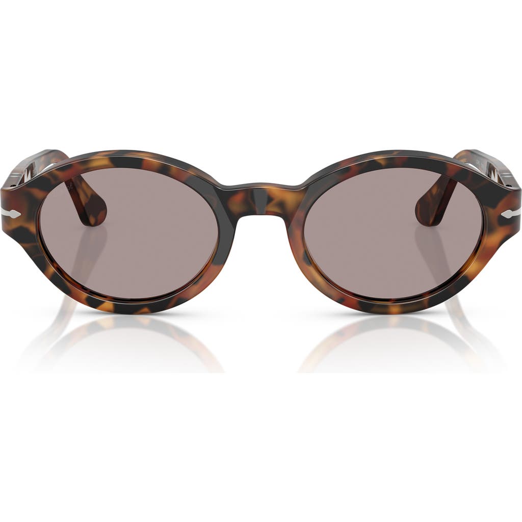 Persol Persol Loris 53mm Oval Sunglasses