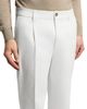 Peserico Peserico Heavy Cotton Blend Stretch Twill Pleated Trousers - 5