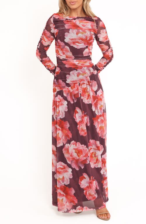 Petal & Pup Petal & Pup Calypso Floral Ruched Long Sleeve Mesh Maxi Dress