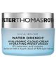 Peter Thomas Roth Peter Thomas Roth Travel Water Drench Hyaluronic Cloud Cream Hydrating Moisturizer - 1