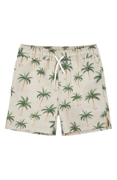 Petit Lem Petit Lem Kids' Palm Tree Print Swim Trunks