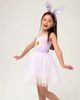 Petite Hailey Petite Hailey Girls' Bailey Daisy Tutu Dress - 2