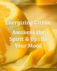 Pharmacopia Natural Bodycare Pharmacopia Natural Bodycare Citrus Body Lotion - Energizing Aromatherapy - 4