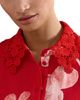 Phase Eight Phase Eight Delphine Lace Collar Belted Dress - 4