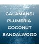 PHLUR PHLUR Travel Size Island Swim Hair And Body Mist 3oz - 2