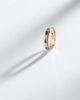 Piaget Piaget Possession Vibrant Palace 18kt rose gold ring with gemstones - 5
